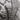 195/65 15  Pirelli Winter Carving Edge Можно забрать по адресу: г. Москва, Ленинский район, деревня Вырубово 48. Контактный телефон: +7 (916) 117-65-56 — Андрей